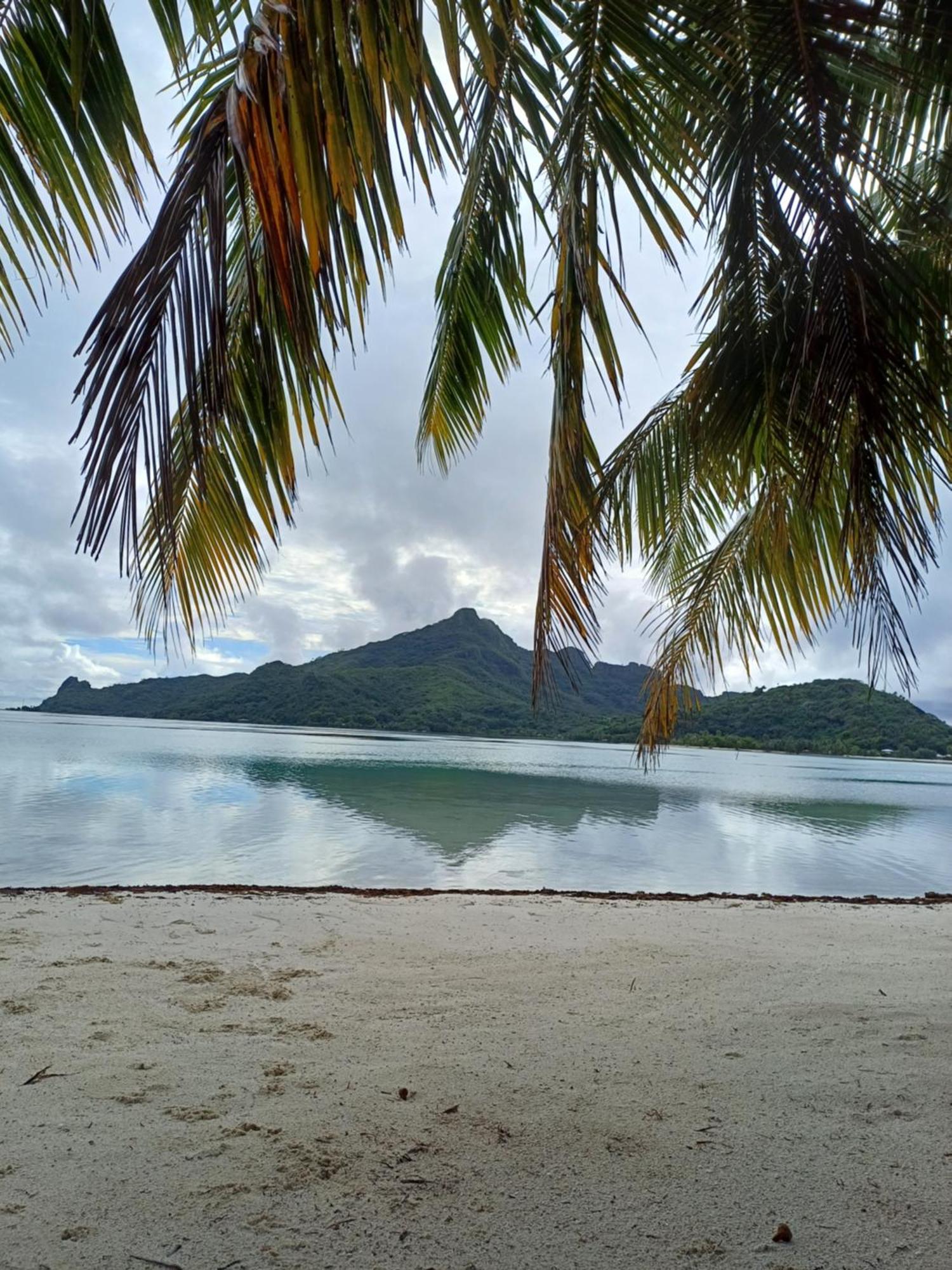 Poemanahere Island Camping A Maupiti Te-Fare-Arii Luaran gambar
