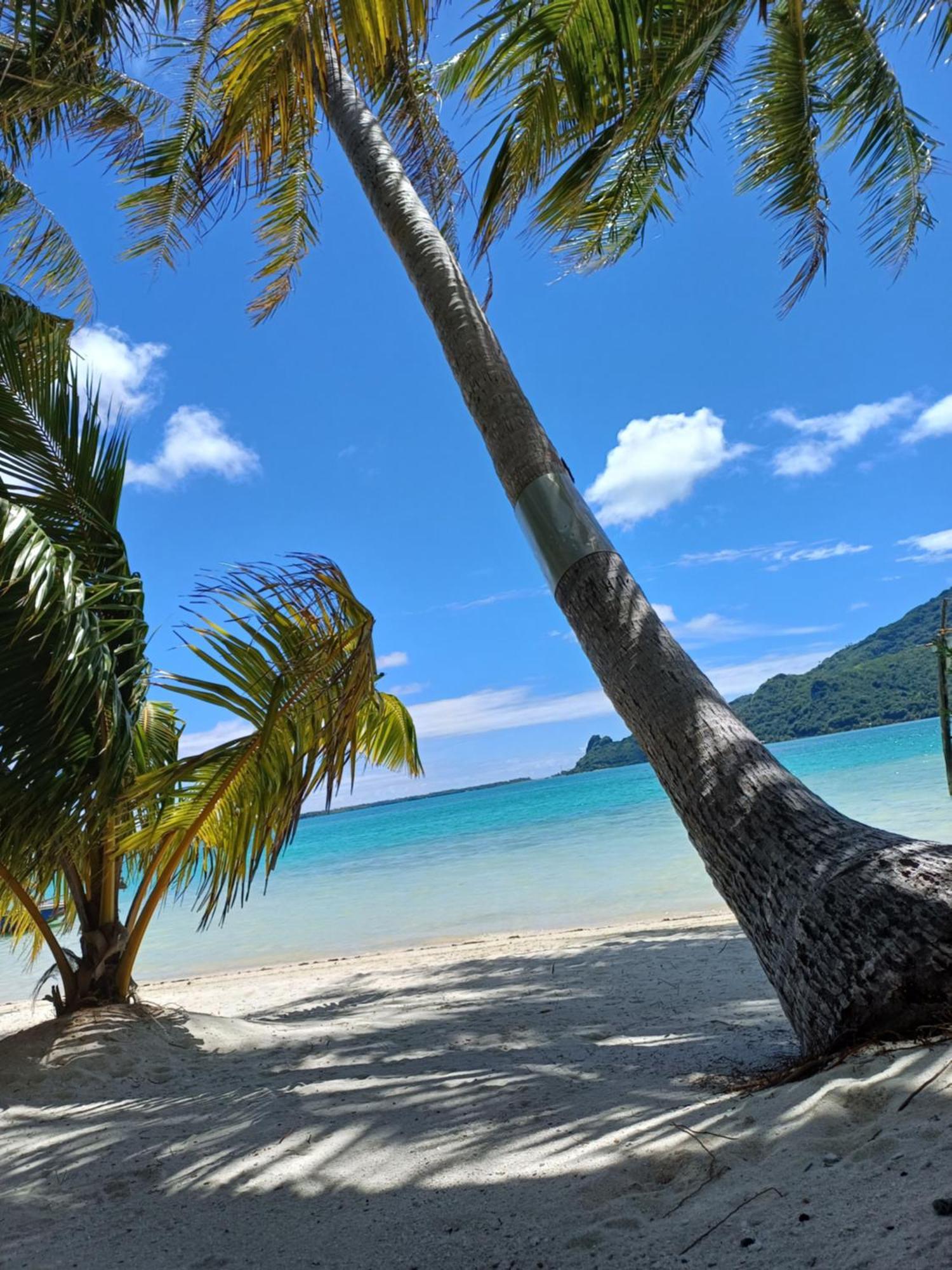 Poemanahere Island Camping A Maupiti Te-Fare-Arii Luaran gambar