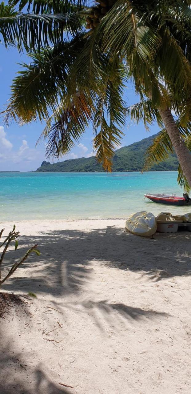 Poemanahere Island Camping A Maupiti Te-Fare-Arii Luaran gambar
